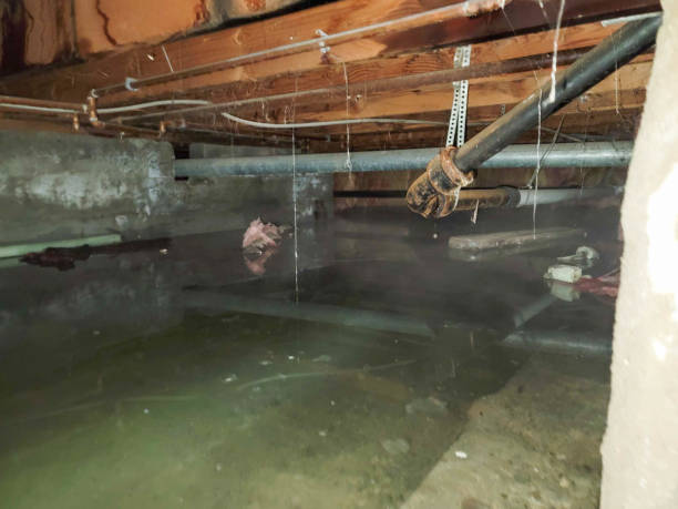 Best Water damage cleanup near me  in Fort Morgan, CO
