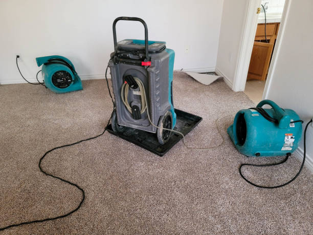 Best Basement water damage restoration  in Fort Morgan, CO
