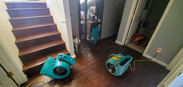 Best Water damage restoration near me  in Fort Morgan, CO