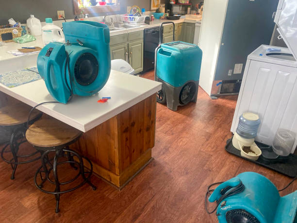 Best Water damage repair service  in Fort Morgan, CO