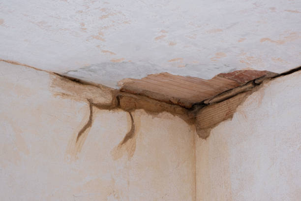 Best Water damage contractors near me  in Fort Morgan, CO