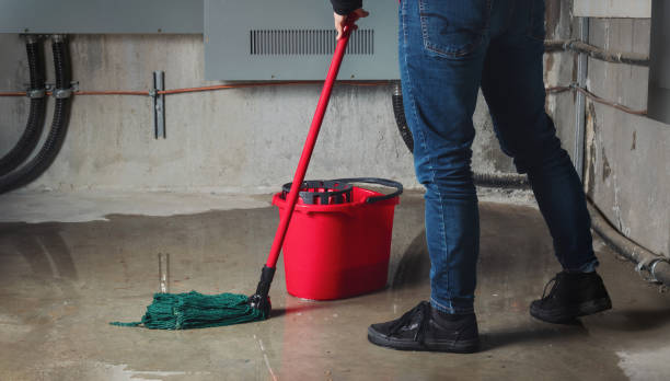 Best Ceiling water damage repair  in Fort Morgan, CO