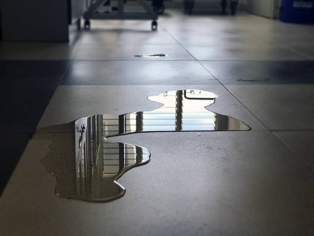 Best 24-hour water damage restoration  in Fort Morgan, CO