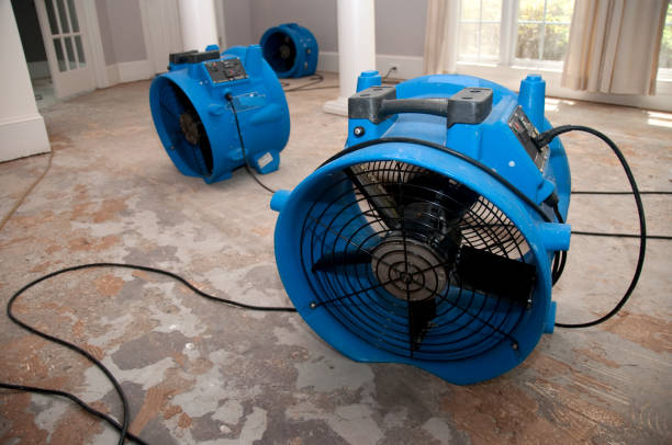 Fort Morgan, CO Water damage restoration Company