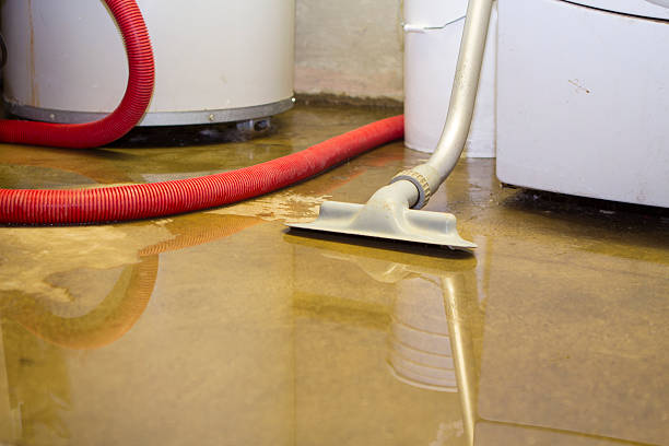Best Water damage restoration insurance claims  in Fort Morgan, CO